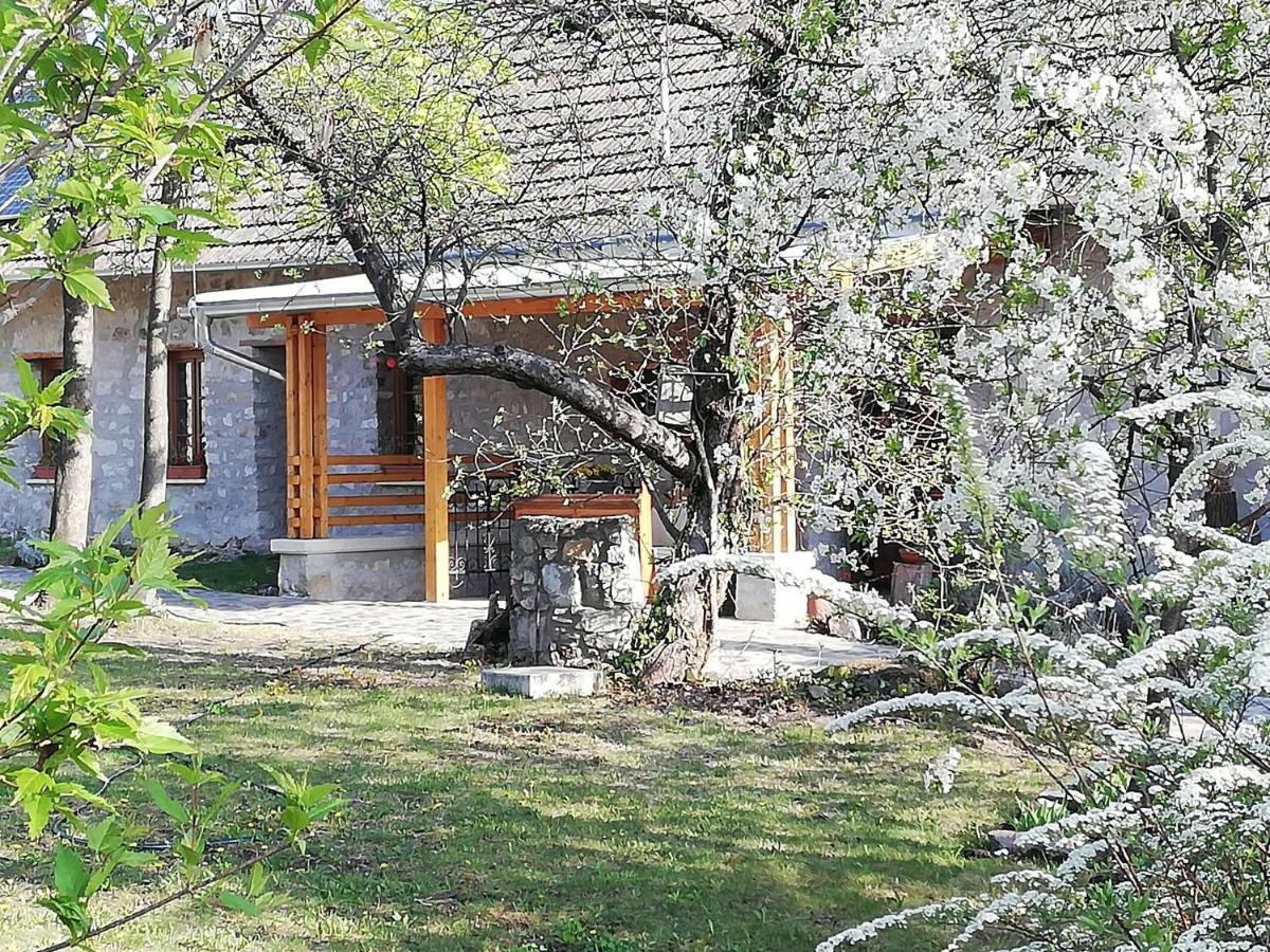 Karadi-Berger Vendeghaz Apartment Erdobenye Ngoại thất bức ảnh